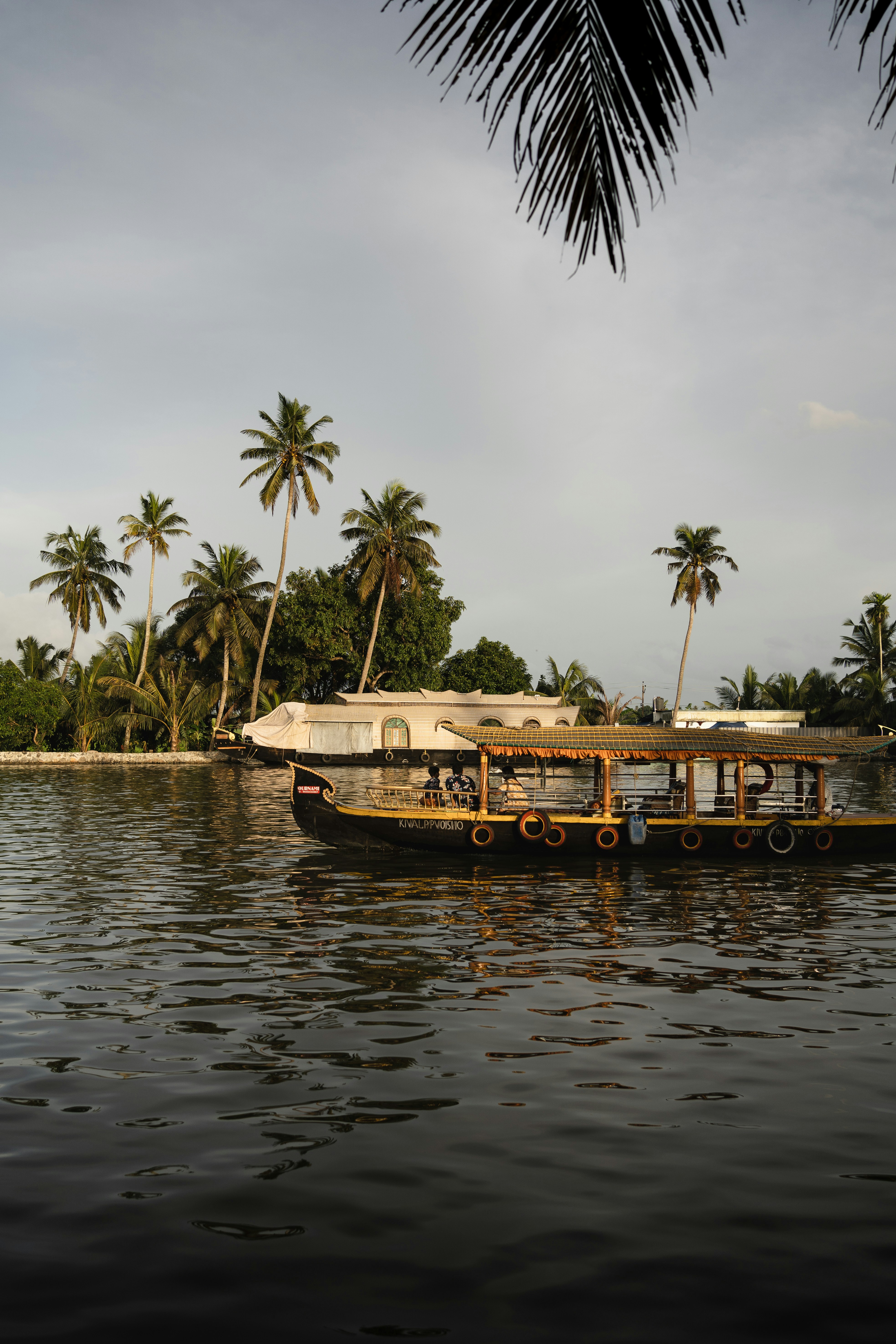 Serene Cruises Through Kerala Backwaters