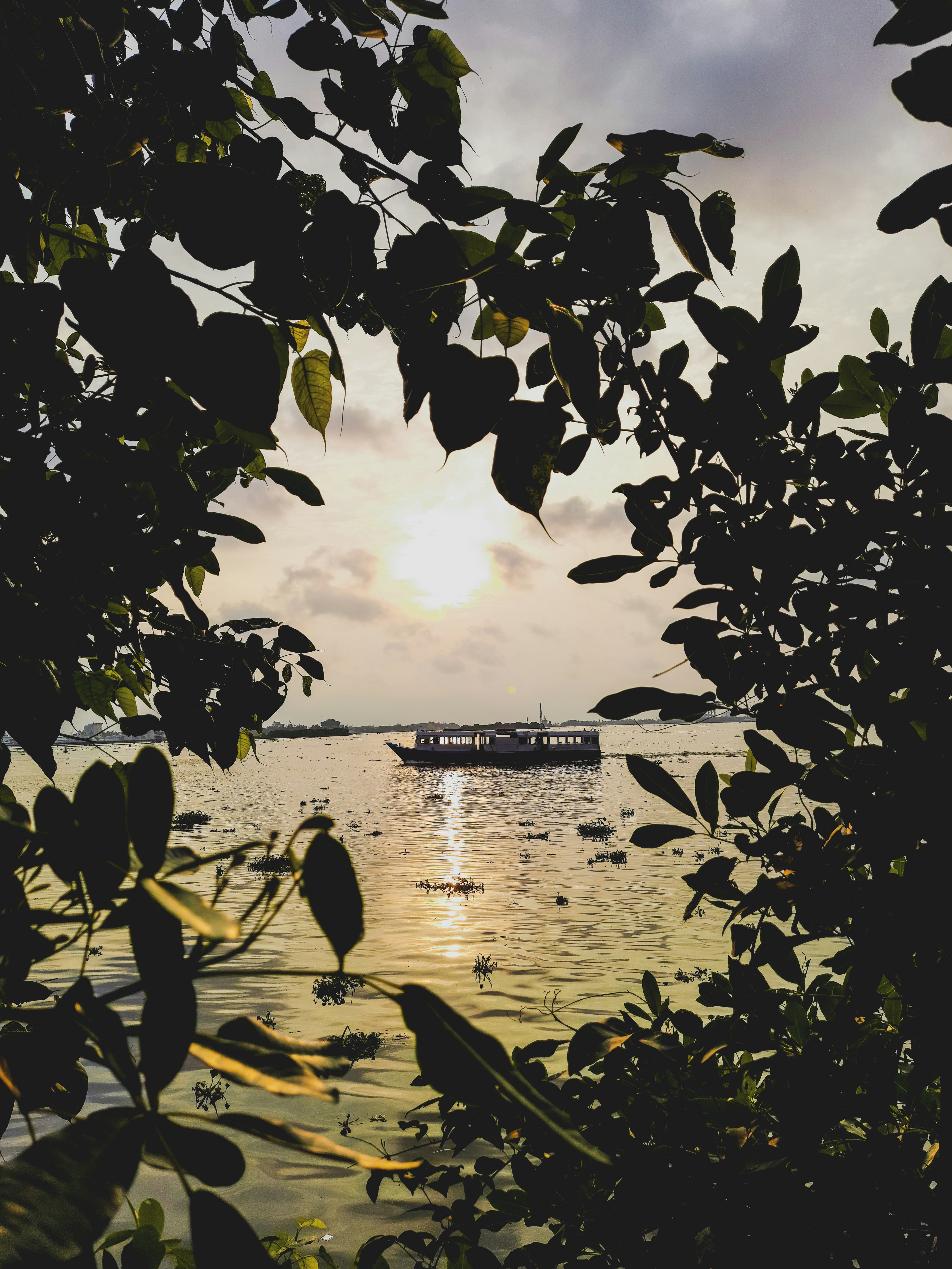Golden hour sunset backwater cruise